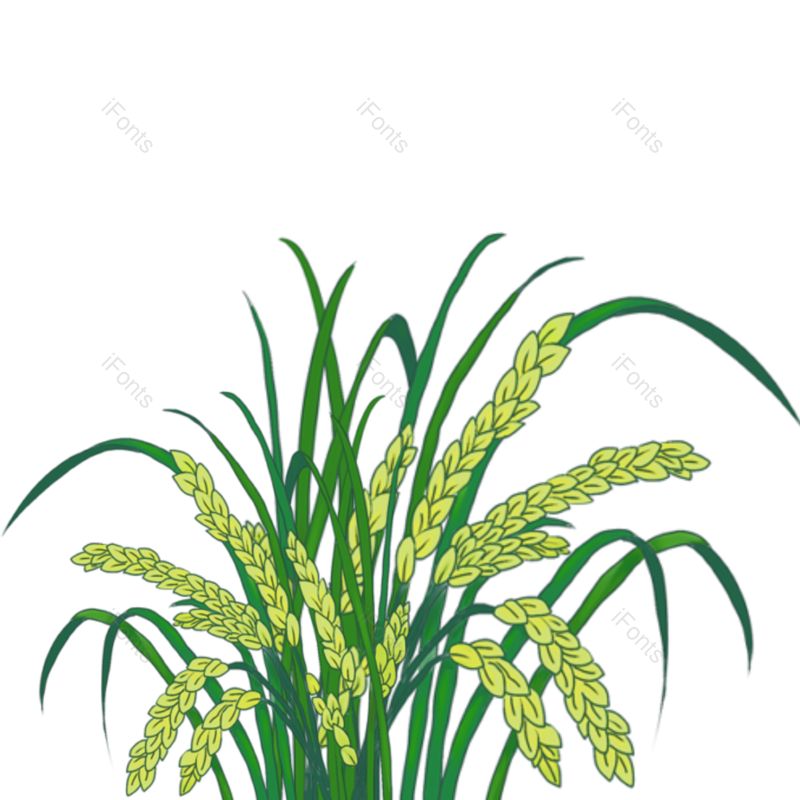 芒种图片,小满元素,秋天PNG,麦子免抠素材